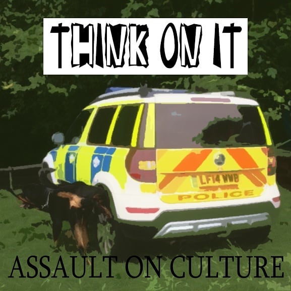 Think On It Assault On Culture