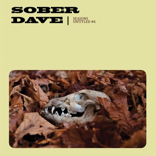 Video Premiere: Sober Dave - 'Seasons'