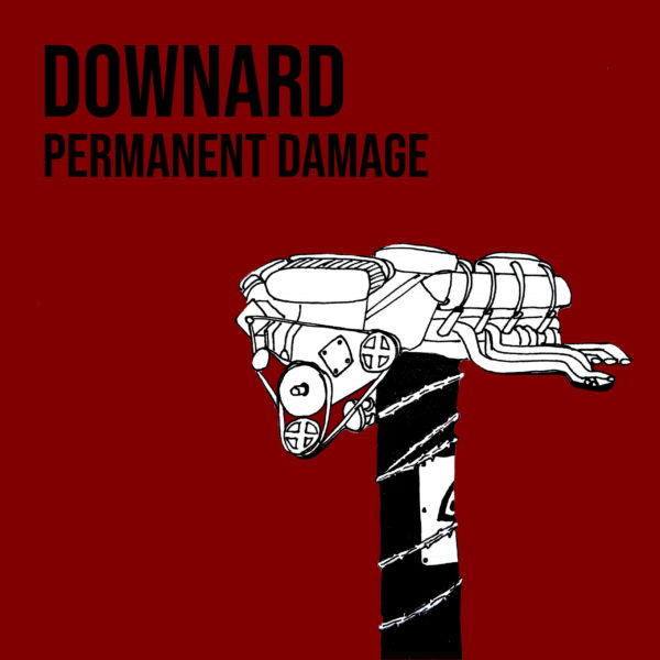 Downard and Their 'Permanent Damage'