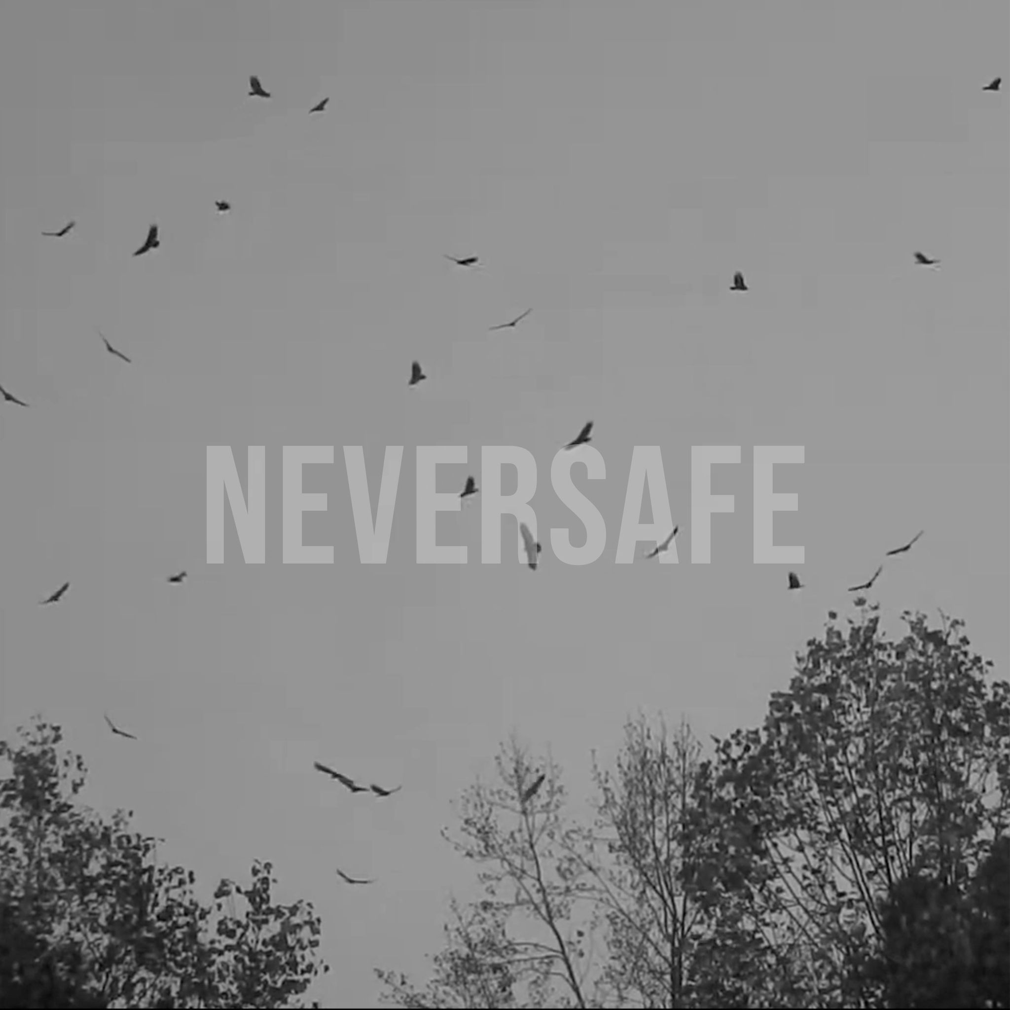 I See Vultures and 'Neversafe'