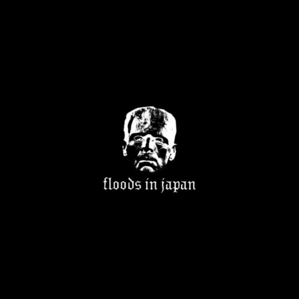 Floods In Japan and The 2020 Demo