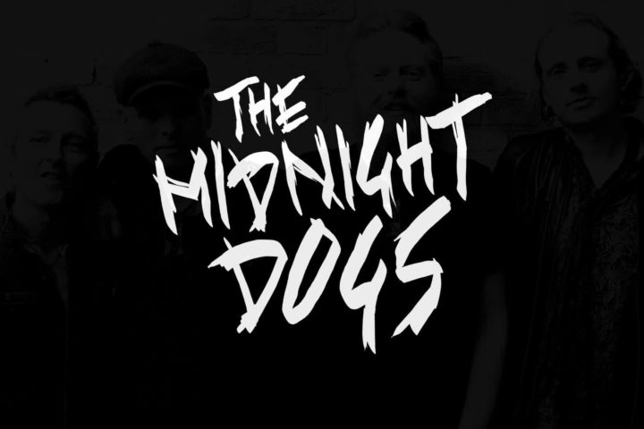 The Midnight Dogs