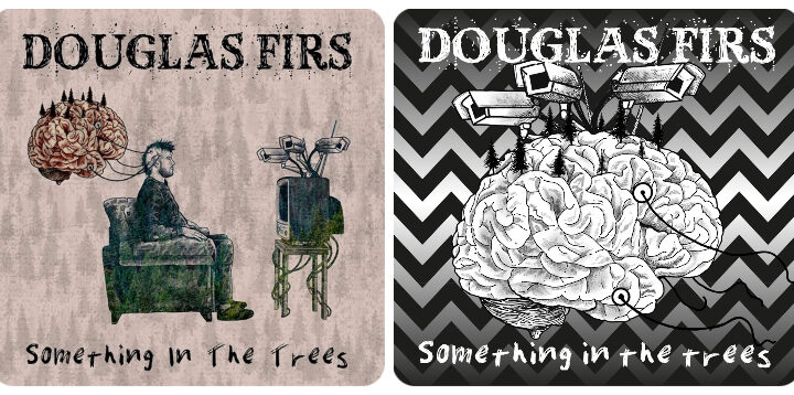 Douglas Firs