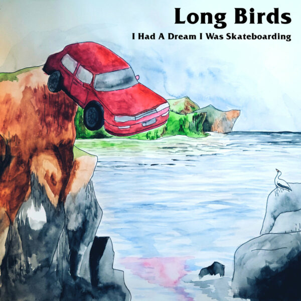 Long Birds and 'I Had A Dream I Was Skateboarding'