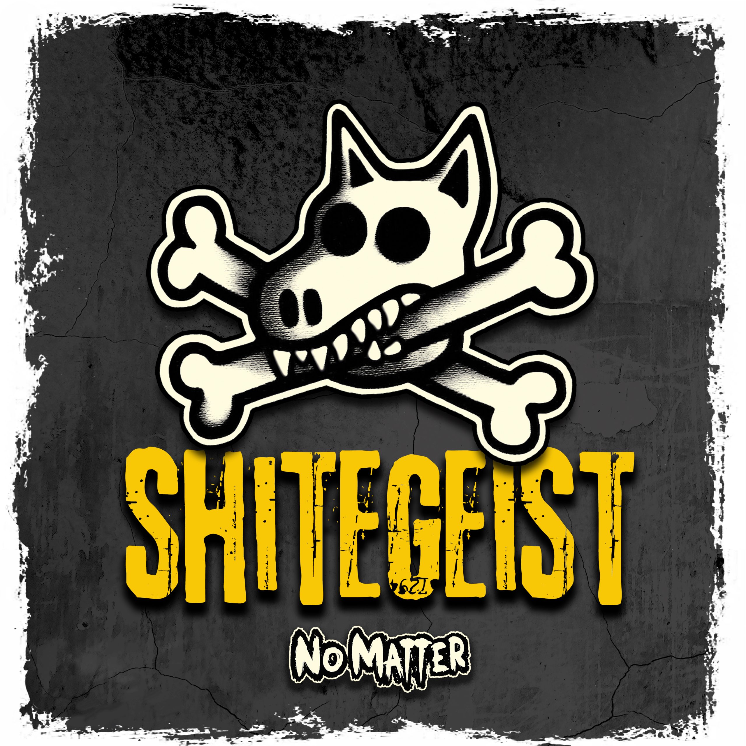 VIDEO PREMIERE: No Matter and 'Shitegeist'